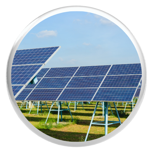 Untitled design - 2024-12-06T162945.639